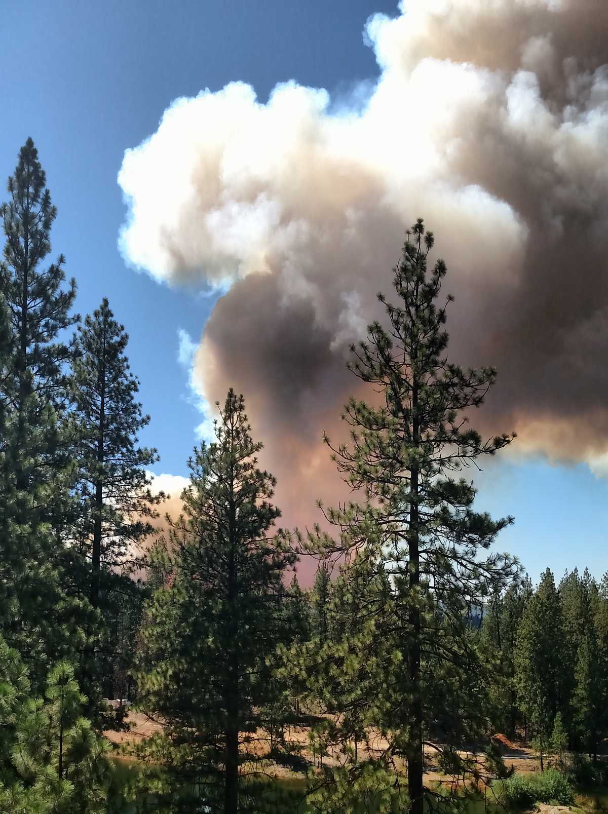 25 mustsee photos of Nevada County wildfire