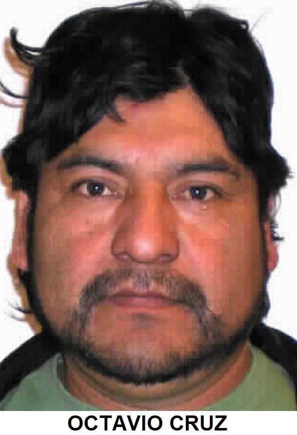 New mexico sex offender registry galleries 41