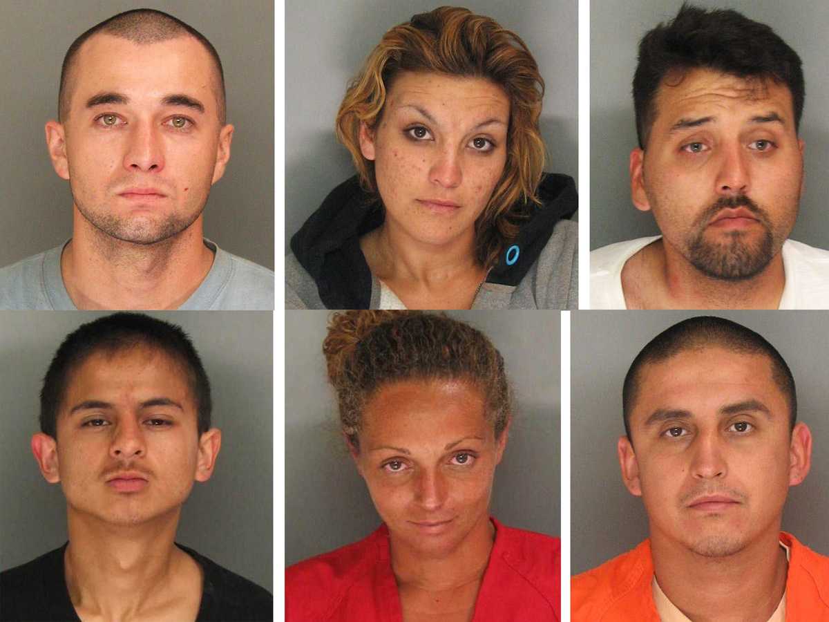 Mug Shots Santa Cruz County Gang Sweep 