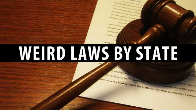 Weird And Strange Laws In Every State