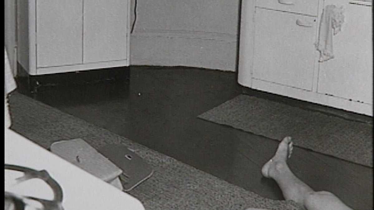 Unveiling the Karlan and Connieenio Case Intriguing Images Emerge