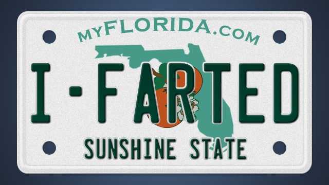 florida dmv license plate search