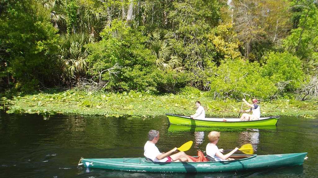 40 FREE things to do in Central Florida