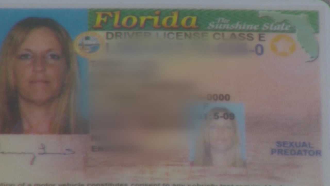 dmv florida license check
