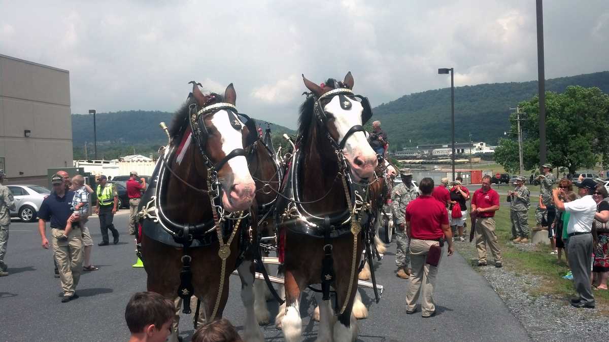 Clydesdale casino