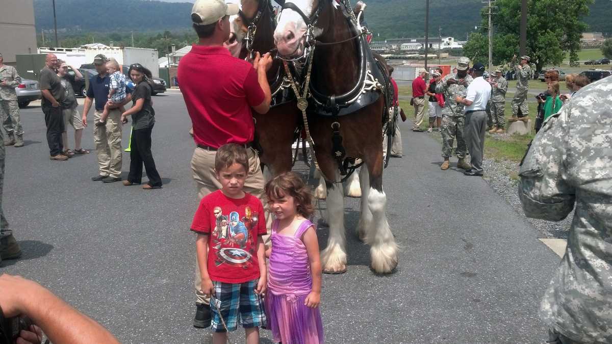 Clydesdale casino