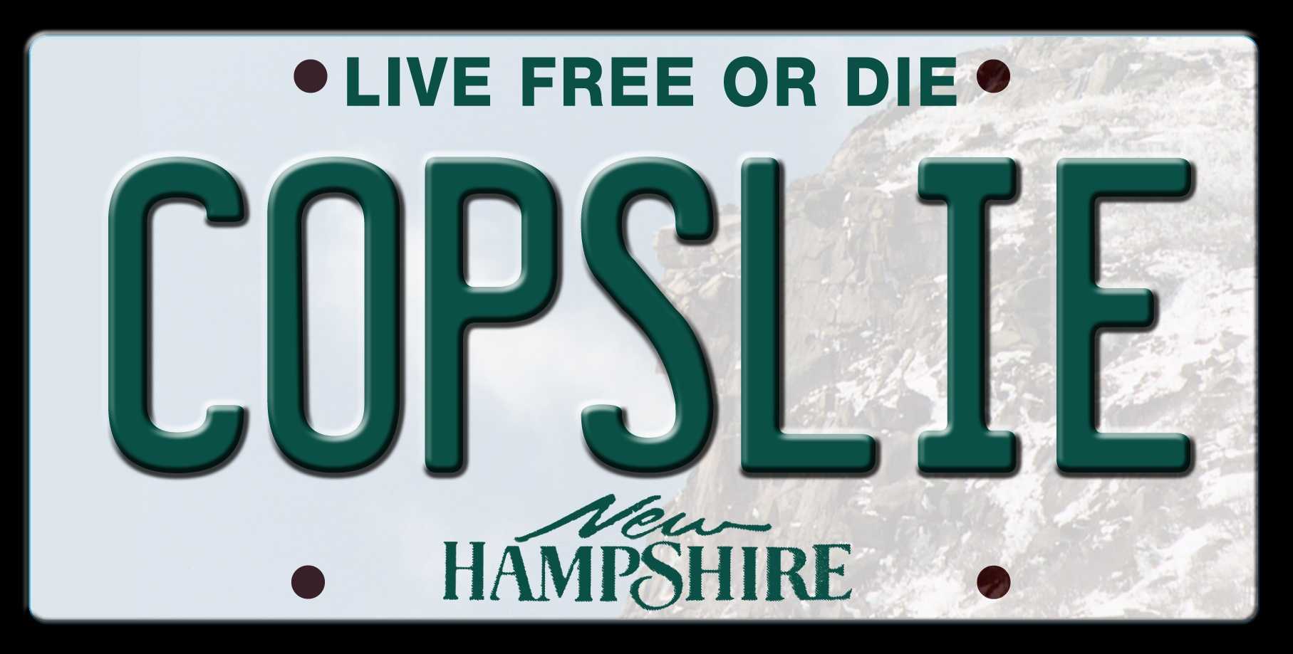 florida license plate check