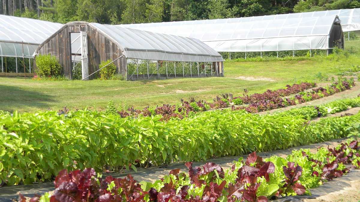 Viewers' Choice 2015 Best farm stand in New Hampshire