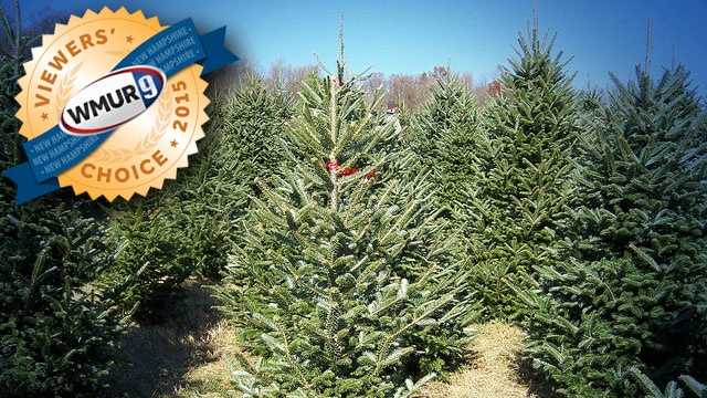 viewers choice 2015 best christmas tree farms in new viewers choice 2015 best christmas tree farms in new