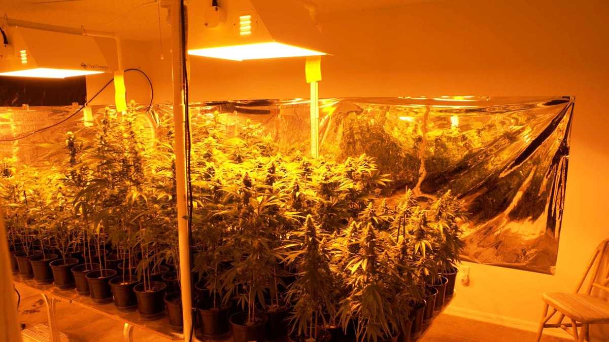 Remodeled home grow house