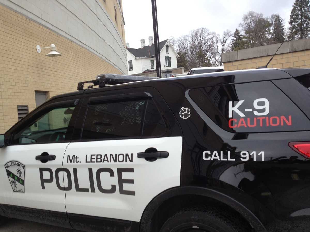 Rash of unlocked car breakins rock Mount Lebanon