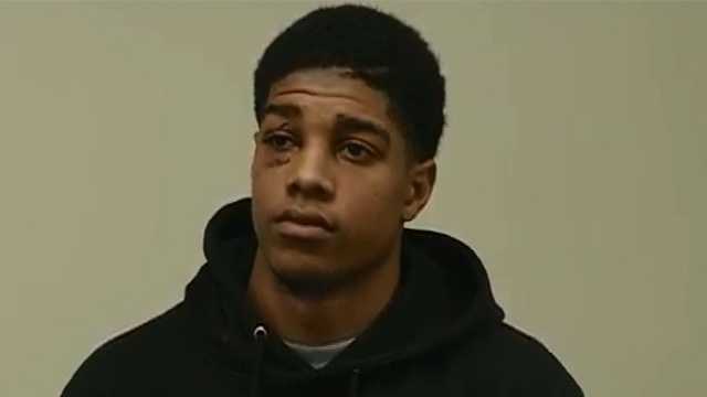 dc rudy johnson shoes