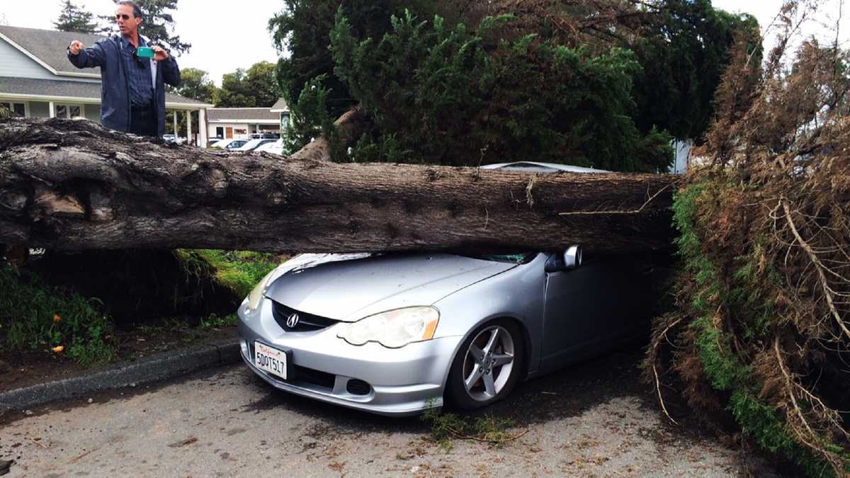 PHOTOS Tree falls on cars in Aptos during Friday storm