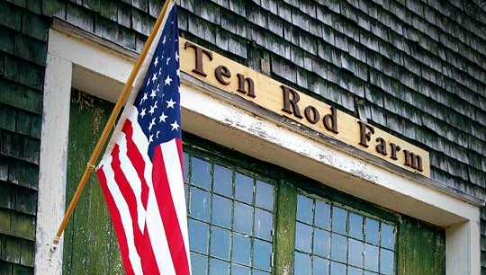 rochester farm works to bring free christmas trees to the rochester farm works to bring free christmas trees to the