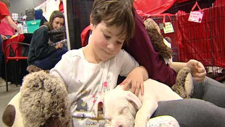 My Furry Valentine, Cincinnati's largest pet adoption event returns - WLWT Cincinnati