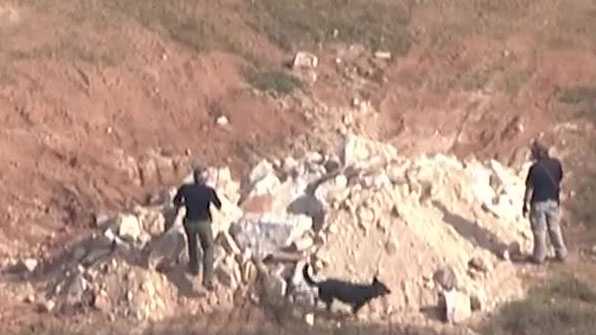 Cadaver dog on property where Kala Brown was found Cadaver dog on property where Kala Brown was found