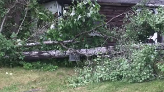 Family returns to New Hampshire vacation home, finds tornado damage