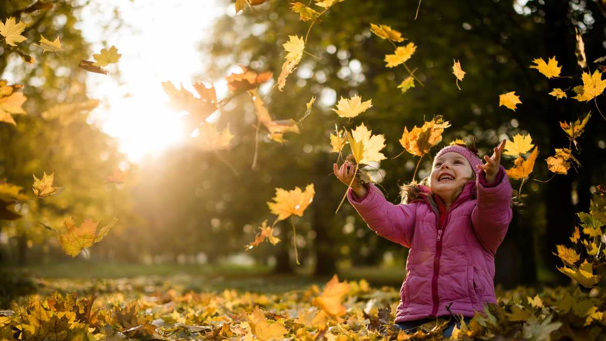 Here's 5 things you may not know about fall