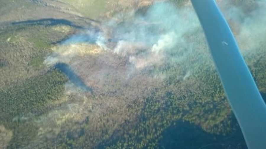 Firefighters continue to battle large brush fire in Albany - WMUR Manchester