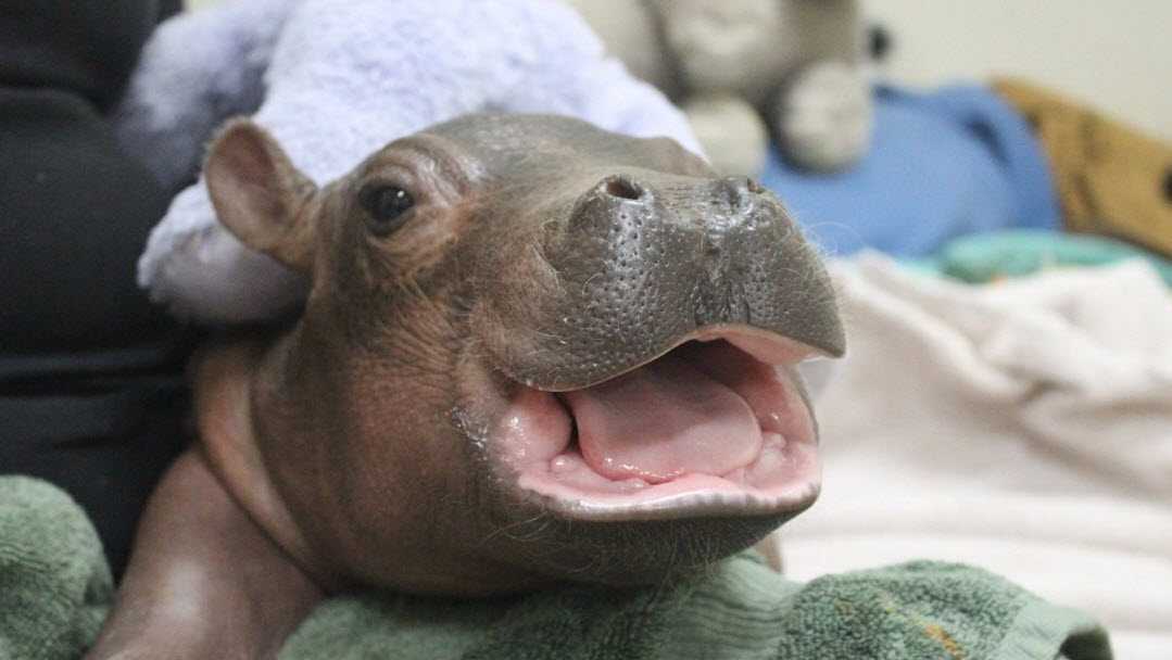 Cincinnati Children's Hospital sends care package to Cincinnati ... - WLWT Cincinnati