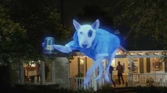 what type of is spuds mackenzie spuds mackenzie returns to rep bud light in bowl ad what type of is spuds mackenzie spuds mackenzie returns to rep bud light in bowl ad