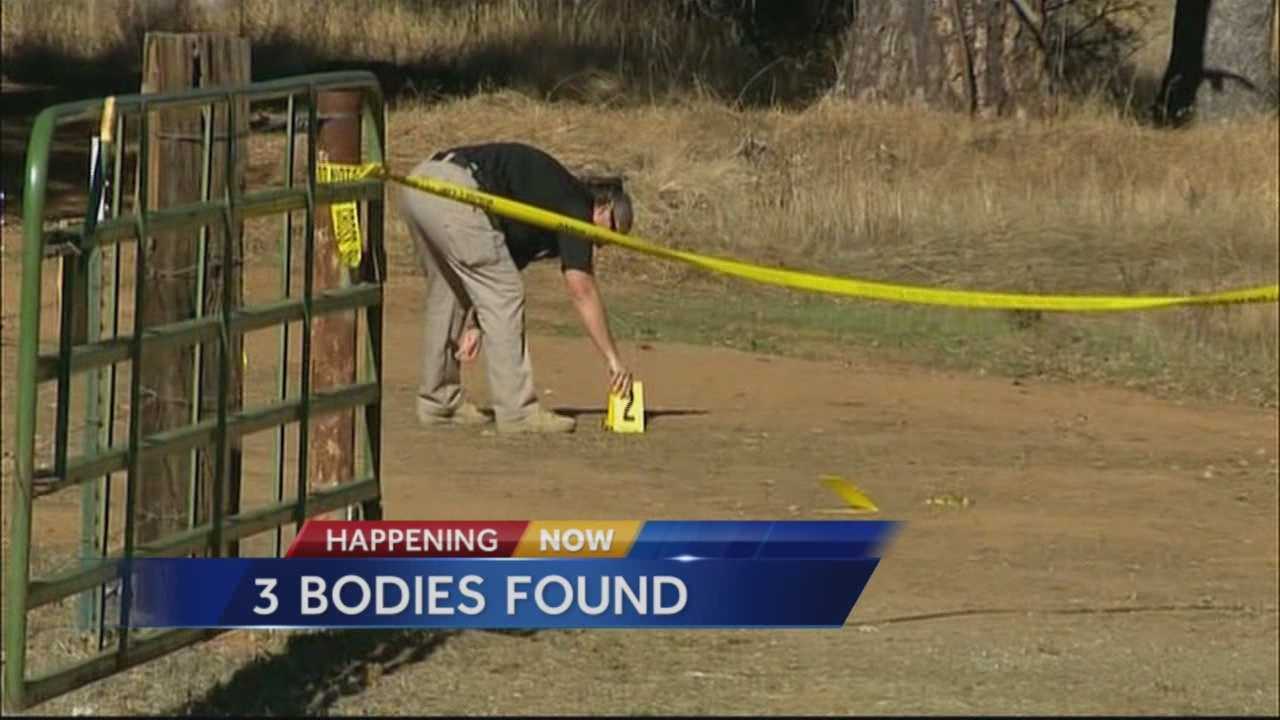 3 Bodies Found In Rural Calaveras County