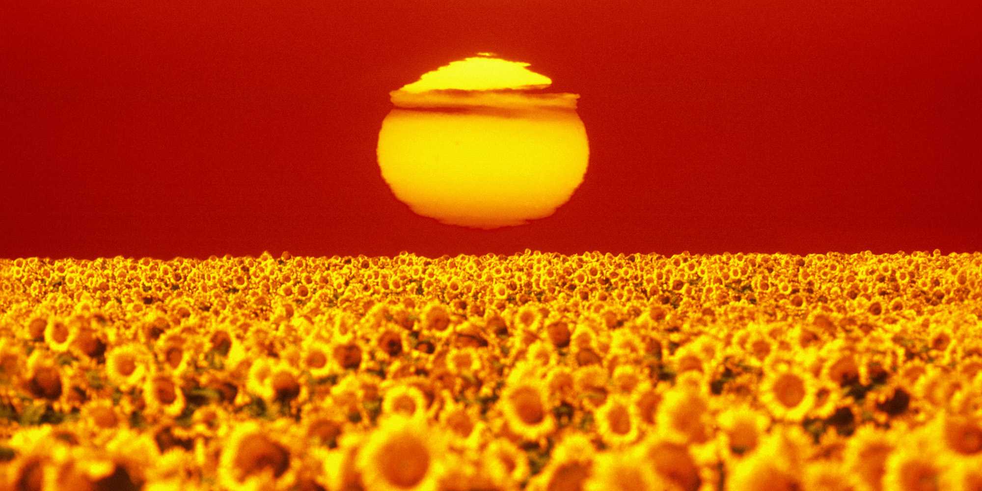 Don't unpack your sweaters, fall is going to be hot across the US this year