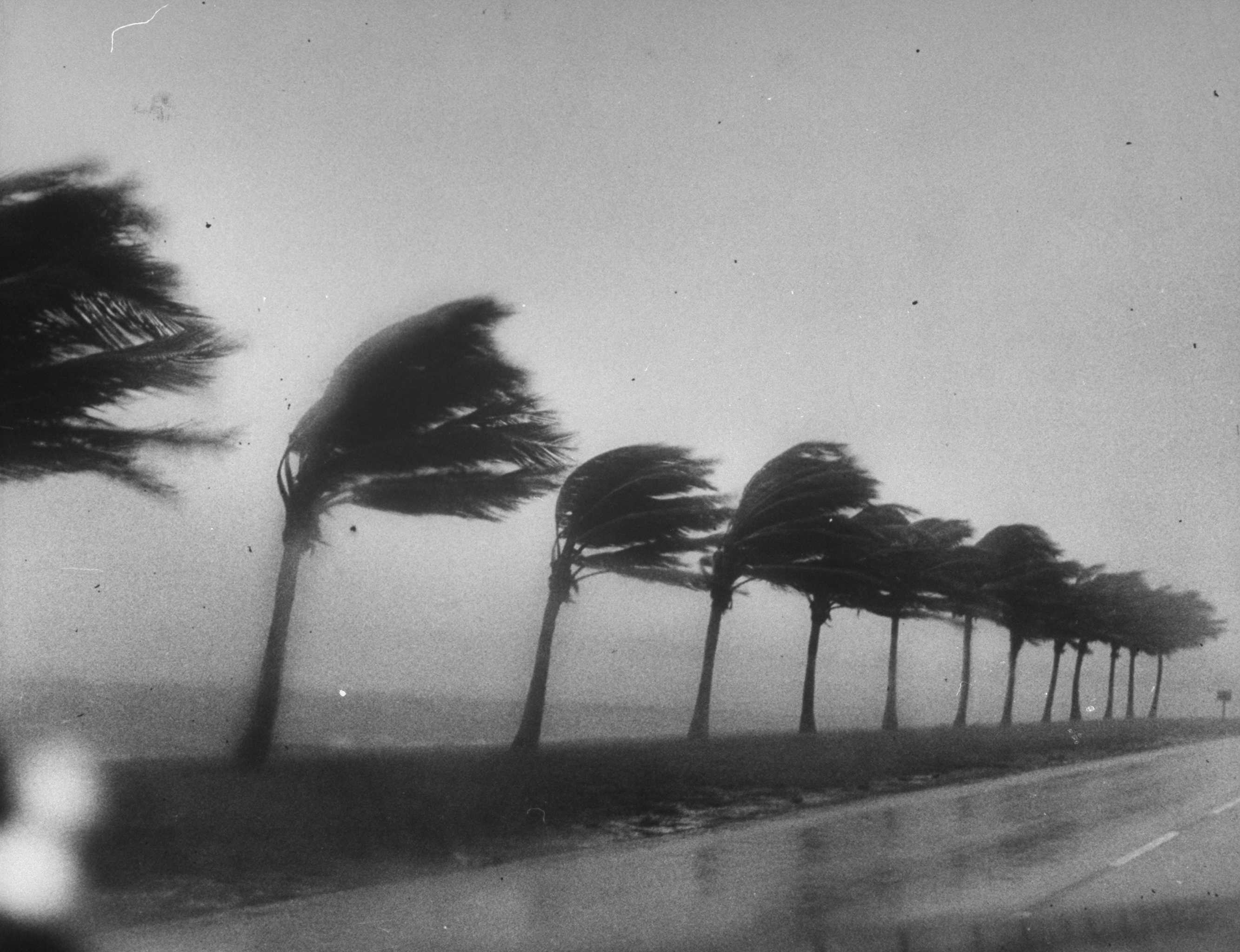 New report says this year's hurricane season will be the worst it's been in 7 years