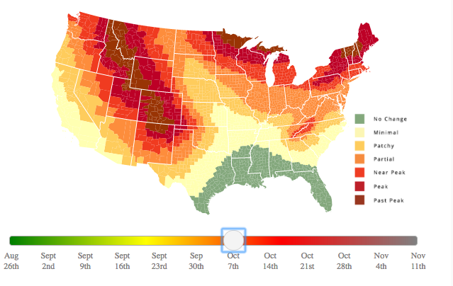 This fall foliage map predicts when leaves will change in your region