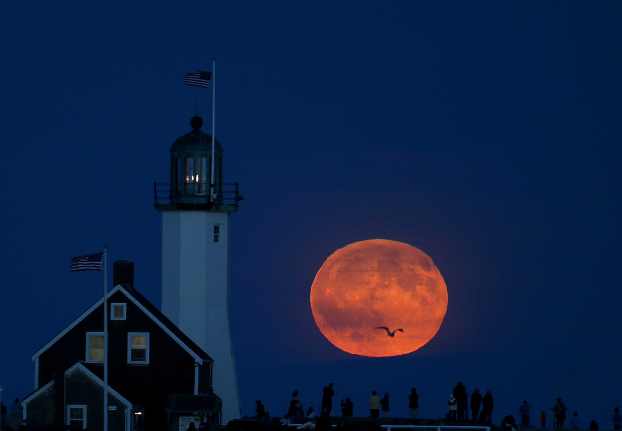 This year's Harvest Moon is going to be spectacular