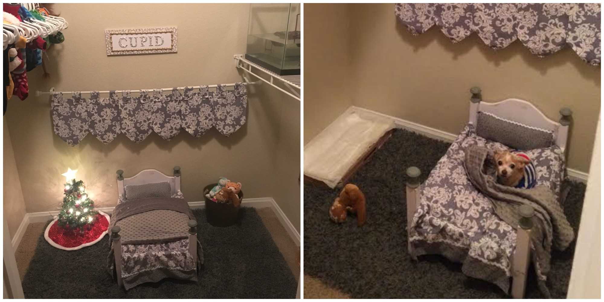 This dog mom turned her spare closet into a bedroom for her pooch