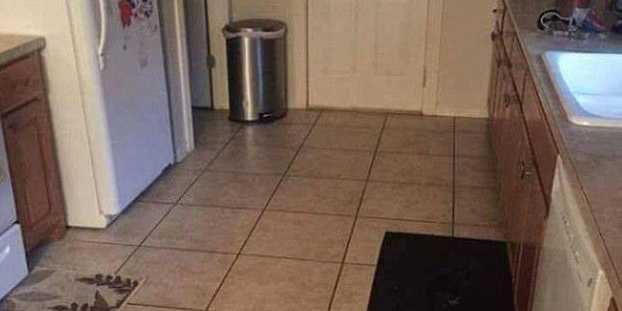Can You Spot the Dog Hidden In This Kitchen?