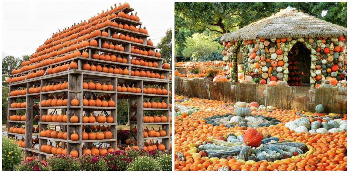 People are building life-sized pumpkin houses