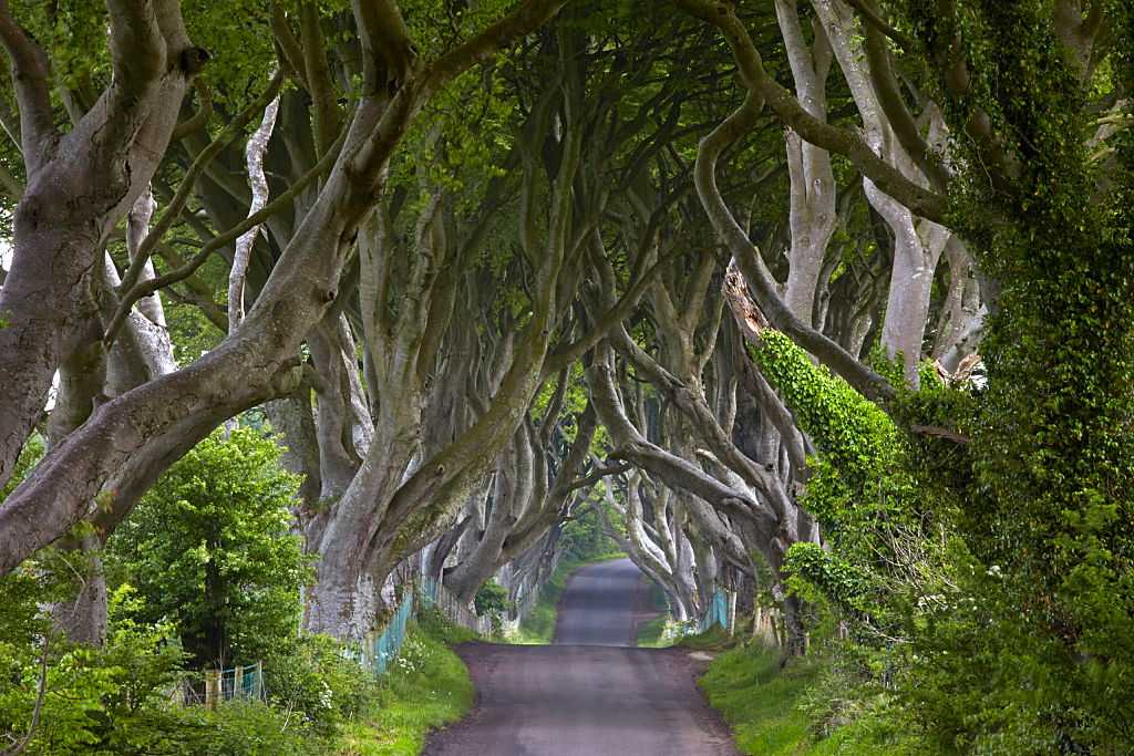 This location featured on 'Game of Thrones' just had to ban cars