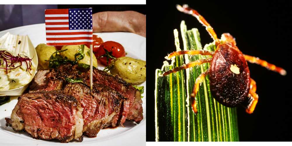 There's a bug bite that could make you allergic to red meat