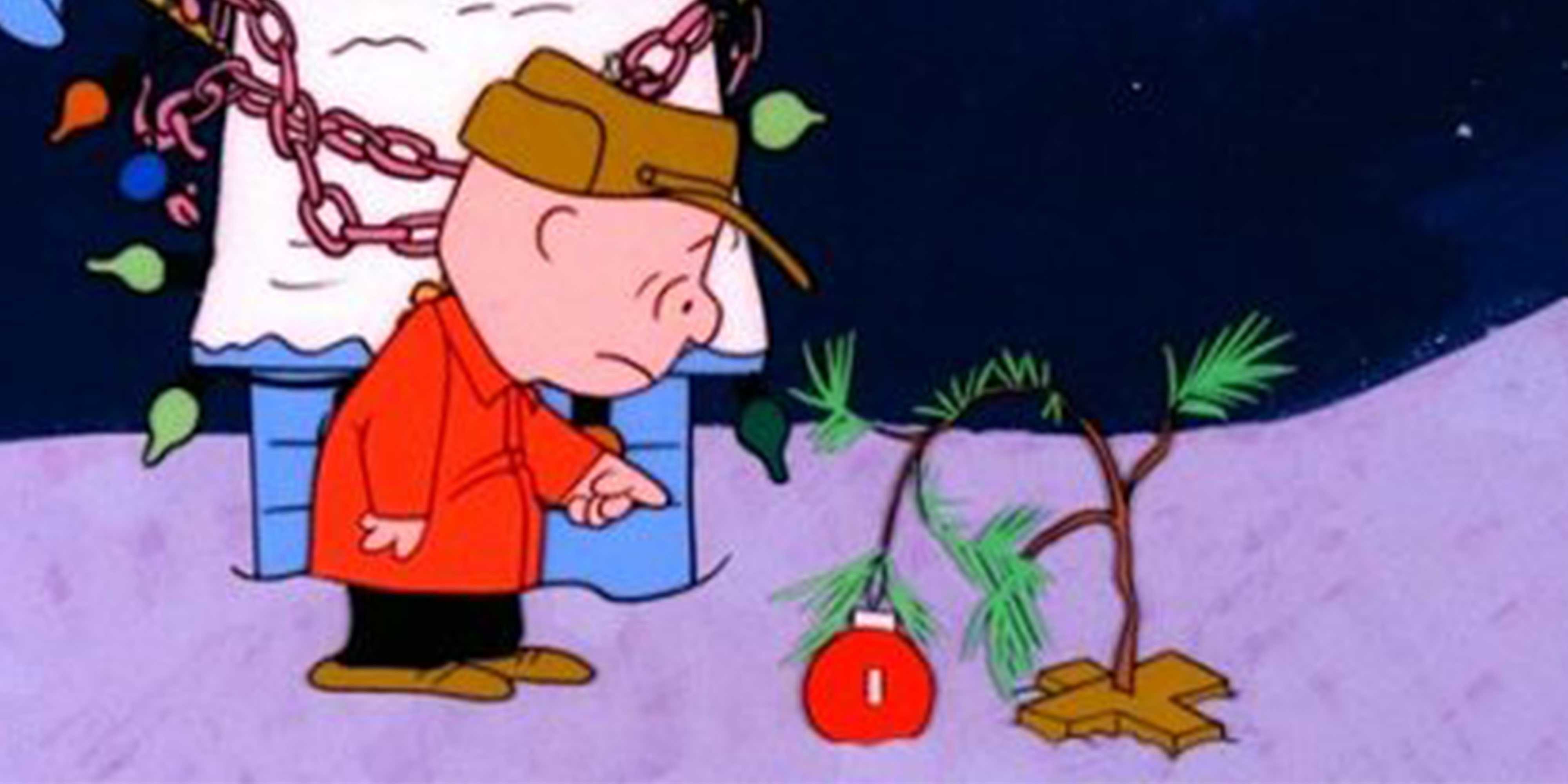 20 hilarious Christmas tree fails