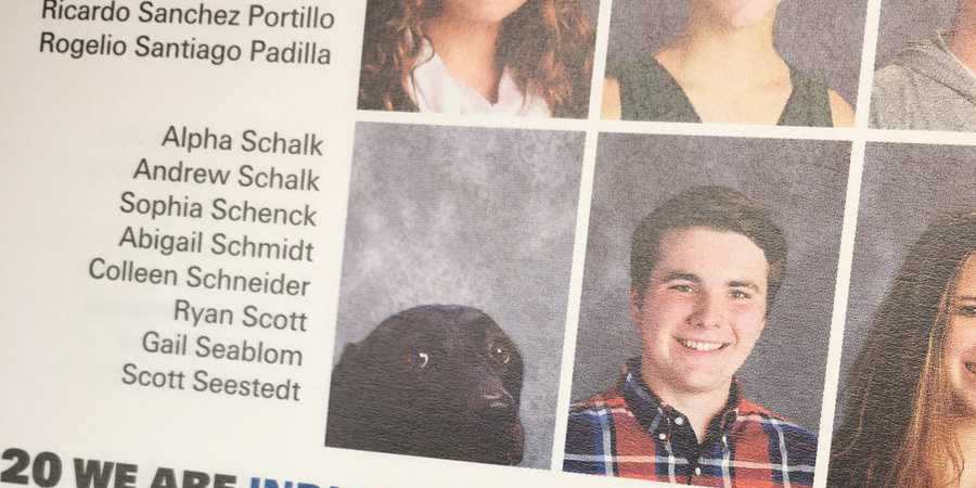 Teen's service dog gets his very own yearbook photo