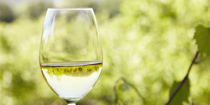 Weight Watchers is coming out with its own wine