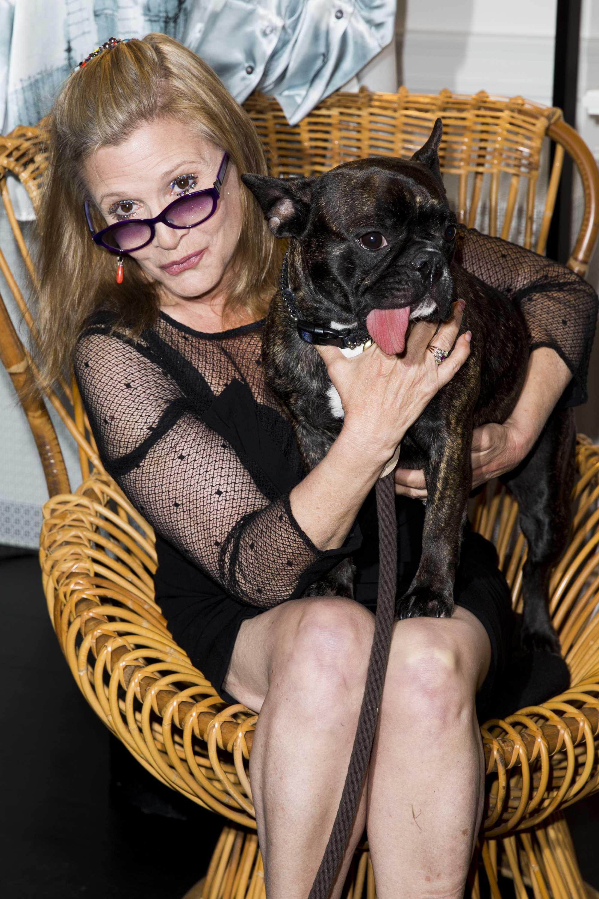 Carrie Fisher’s dog watched her in the new 'Star Wars' trailer