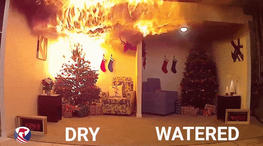 Please Remember to Water Your Christmas Tree
