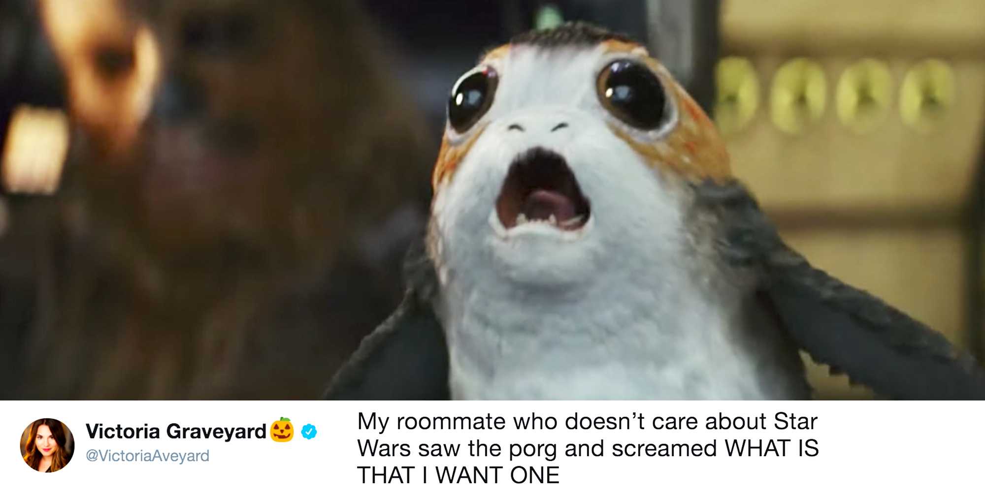 Porgs are the best thing about the new 'Star Wars: The Last Jedi' trailer