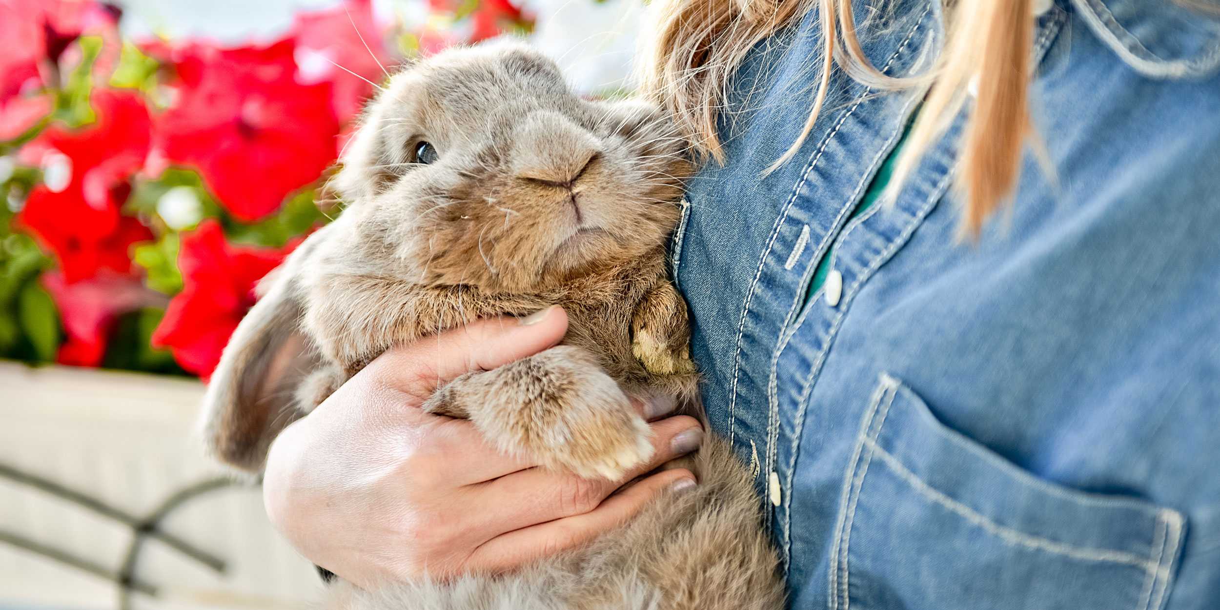 Here's everything you need to know about getting an emotional support animal