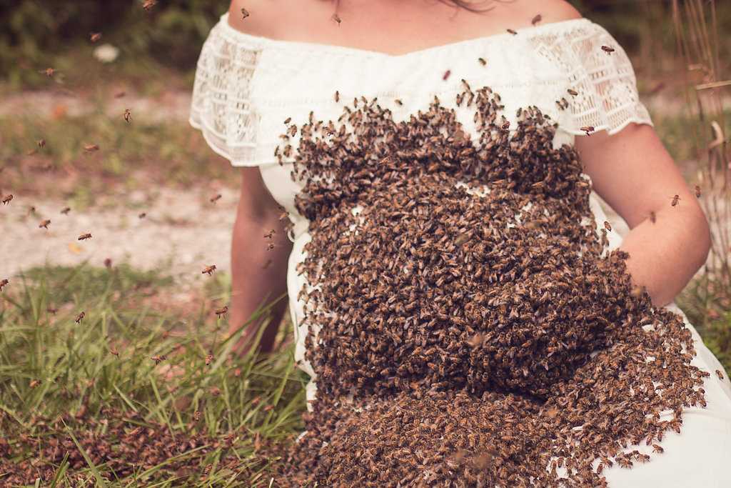 You won't bee-lieve this maternity photoshoot is for real