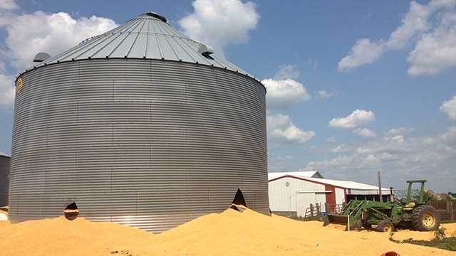 Name of man killed in grain bin accident released