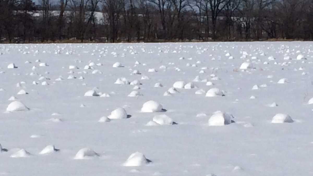 Rare 'snow rollers' form in Iowa