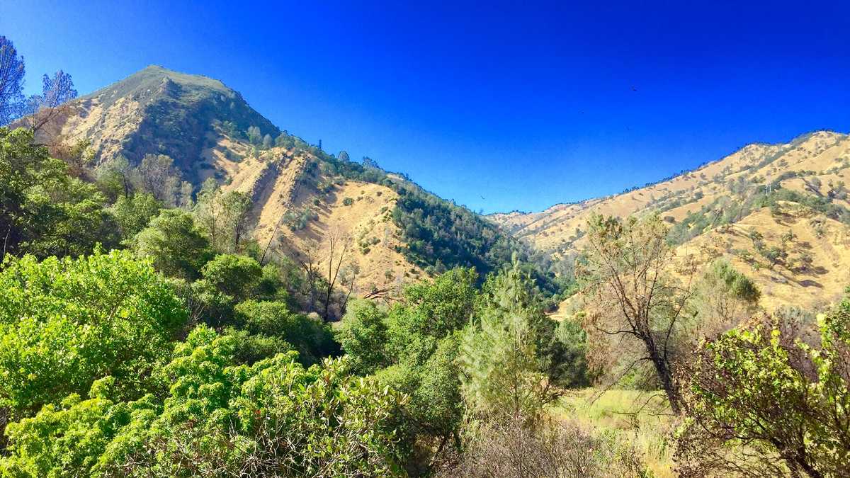 Photos: Stebbins Cold Canyon Natural Reserve reopens