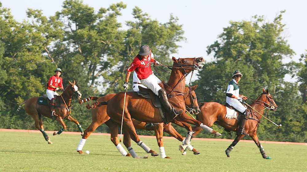 most-expensive-hobbies
