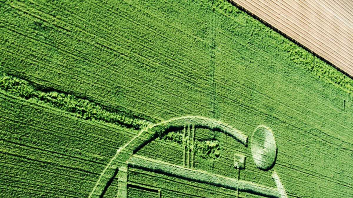 PHOTOS: Intricate crop circles appear in Chualar