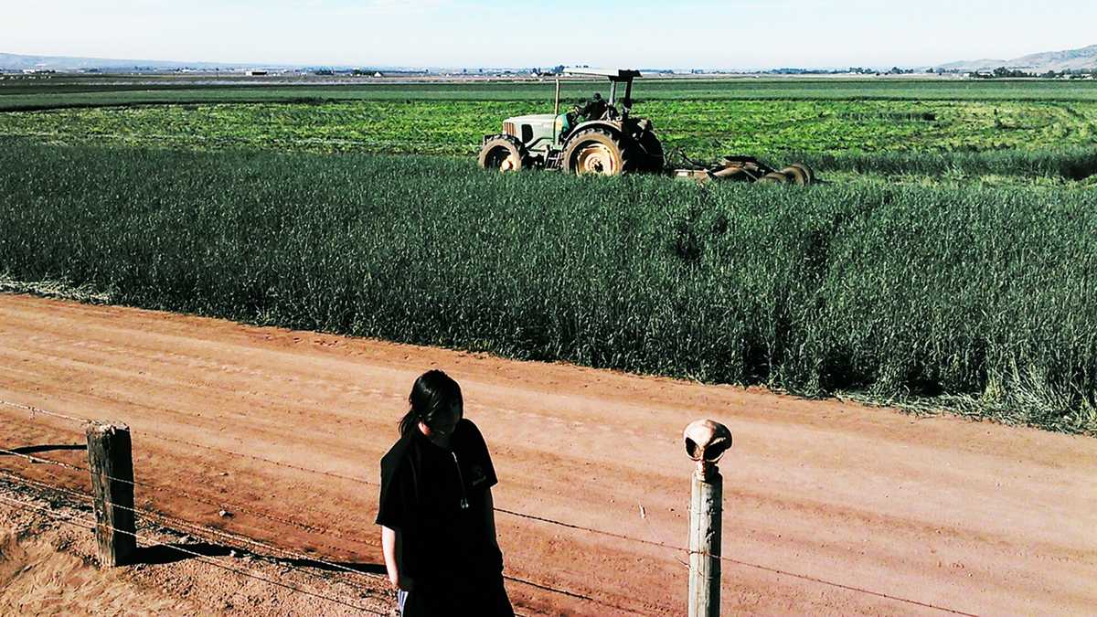 PHOTOS Intricate crop circles appear in Chualar