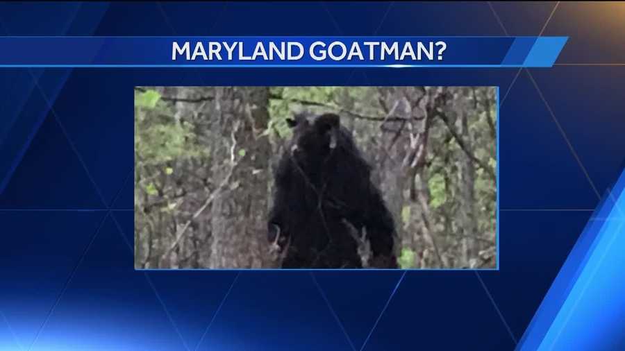 What is this?! Is it the goatman?